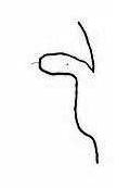 handles ears
