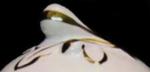 Fig and Leaf - Livesley and Powell - EMB - Finial.jpg