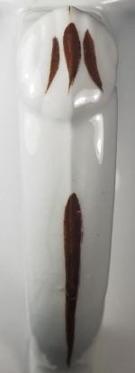 Hawthorn - Wilkinson - EMB - Handle.jpg