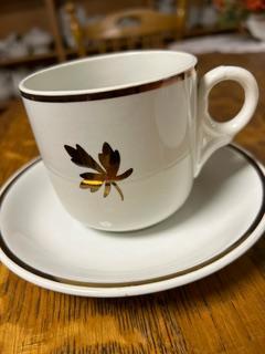 Spode - Plain Round - TL - Cup and Saucer