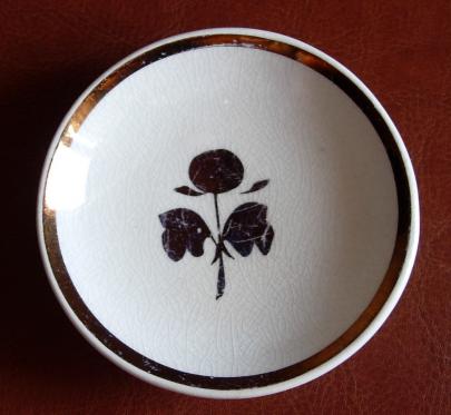 Unknown - Plain Round - TP - Butter Pat